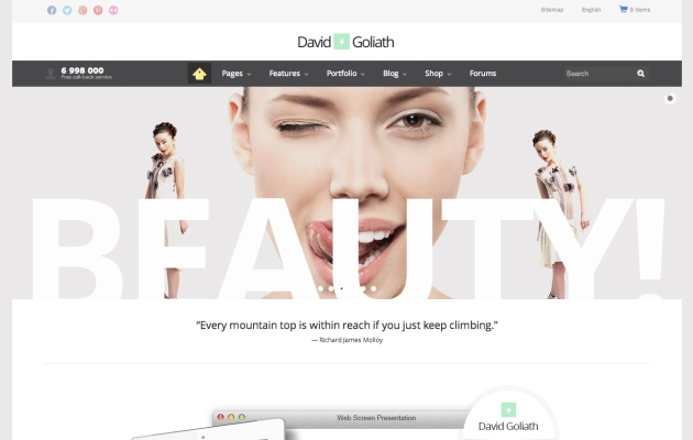 Best responsive ecommerce wordpress themes