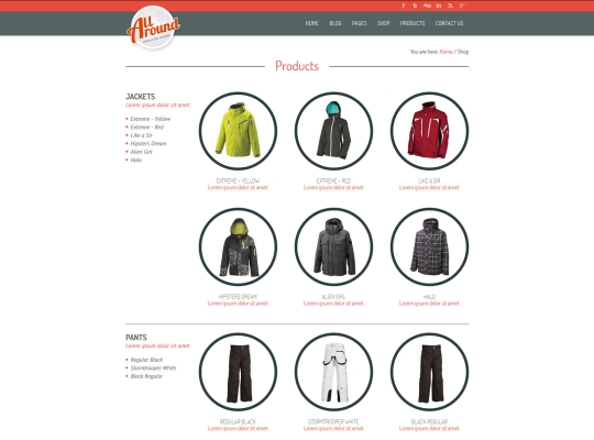 all around universal wordpress shop template