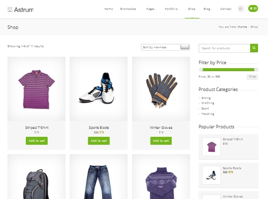 astrum responsive multipurpose wordpress theme