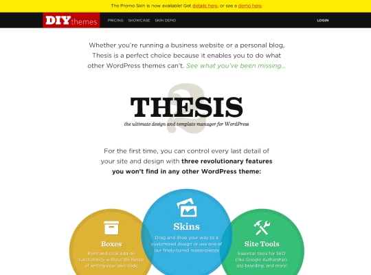 DIYthemes screenshot