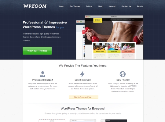 wpzoom screenshot
