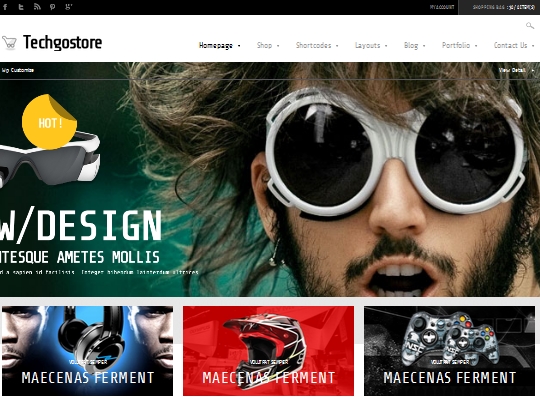 screenshot techgostore