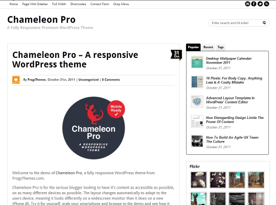 Best-Premium-WordPress-Magazine-Themes-chameleon-pro