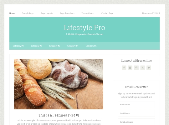 Best-Premium-WordPress-Magazine-Themes-lifestyle-pro