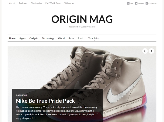 Best-Premium-WordPress-Magazine-Themes-originmag