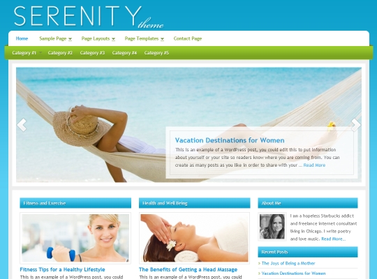 Best-Premium-WordPress-Magazine-Themes-serenity