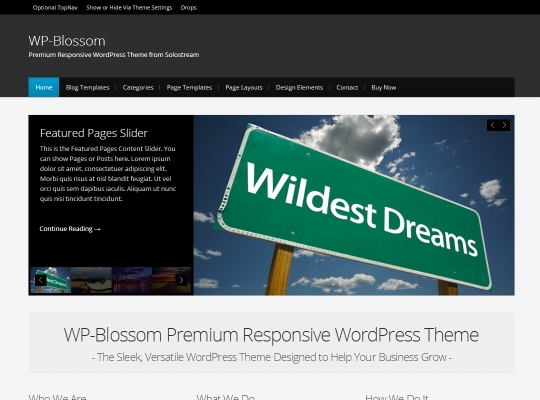 Best-Premium-WordPress-Magazine-Themes-wp-blossom