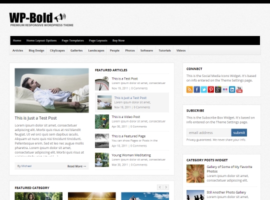 Best-Premium-WordPress-Magazine-Themes-wp-bold