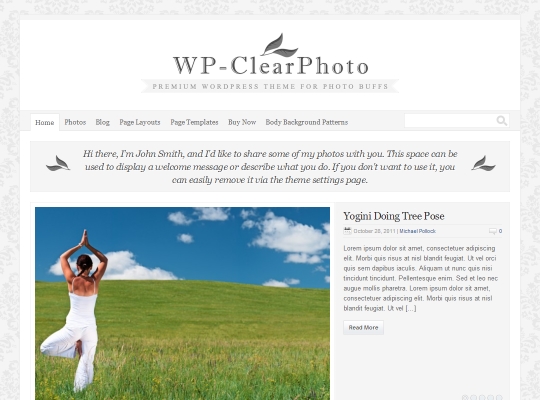 Best-Premium-WordPress-Magazine-Themes-wp-clear-photo