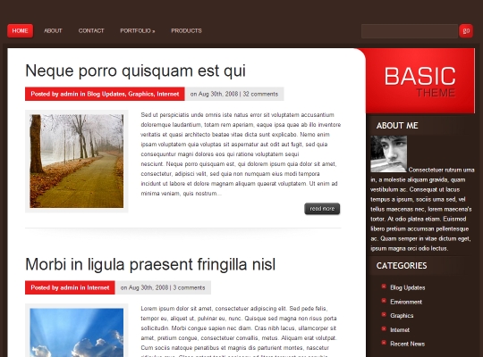 Best-WordPress-Blog-Themes-basic