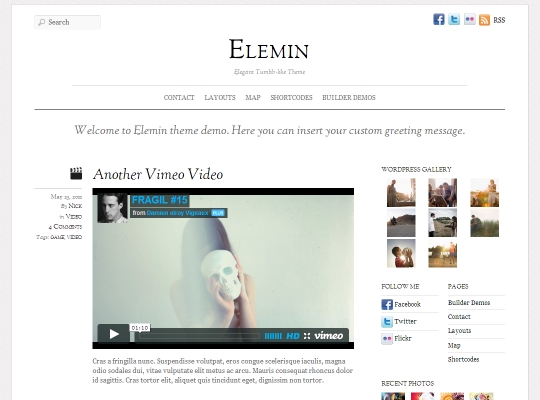 Best-WordPress-Blog-Themes-elemin