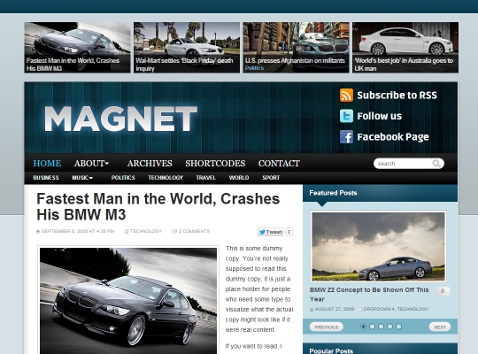 Best-WordPress-Blog-Themes-magnet