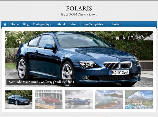 Best-WordPress-Blog-Themes-polaris