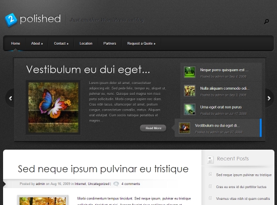 Best-WordPress-Blog-Themes-polished