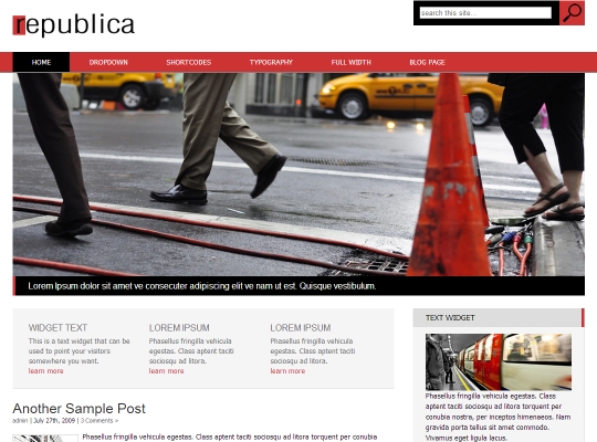 Best-WordPress-Blog-Themes-republica
