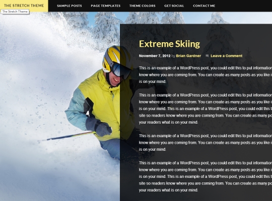 Best-WordPress-Blog-Themes-the-stretch