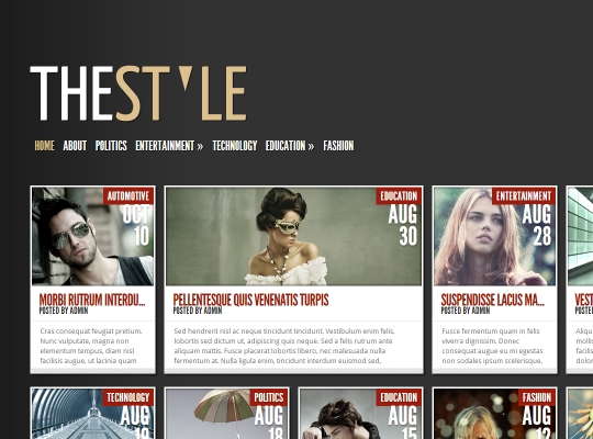 Best-WordPress-Blog-Themes-the-style
