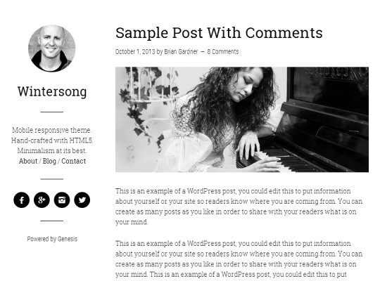 Best-WordPress-Blog-Themes-wintersong