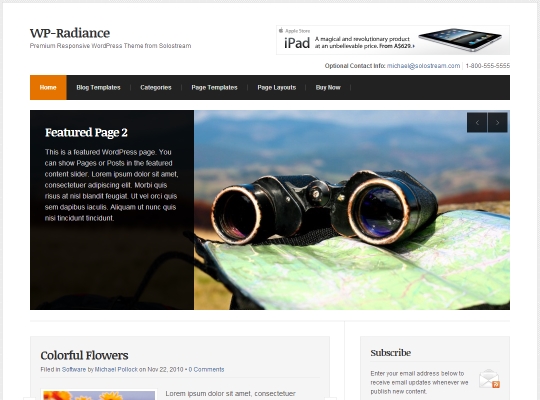 Best-WordPress-Blog-Themes-wp-radiance