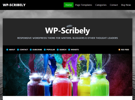 Best-WordPress-Blog-Themes-wp-scribely