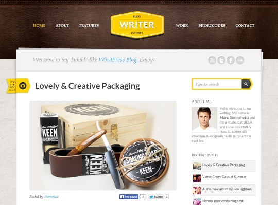 Best-WordPress-Blog-Themes-writer