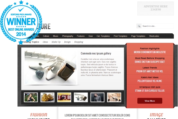 awarded-best-responsive-wordpress-themes-arts-culture