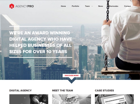 best-premium-wordpress-business-themes-agency-pro