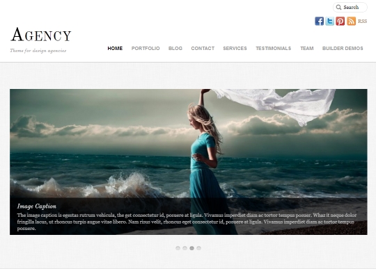 best-premium-wordpress-business-themes-agency