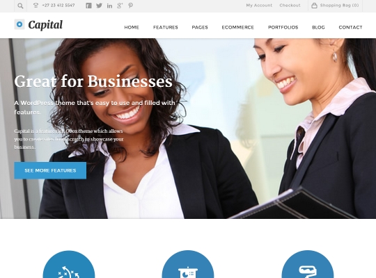 best-premium-wordpress-business-themes-capital