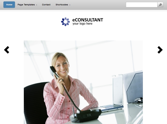 best-premium-wordpress-business-themes-econsultant