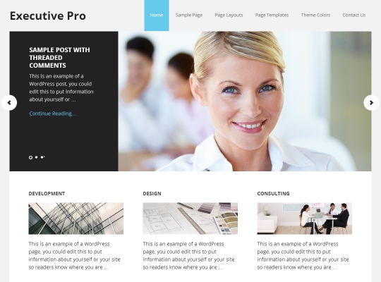 best-premium-wordpress-business-themes-executivepro