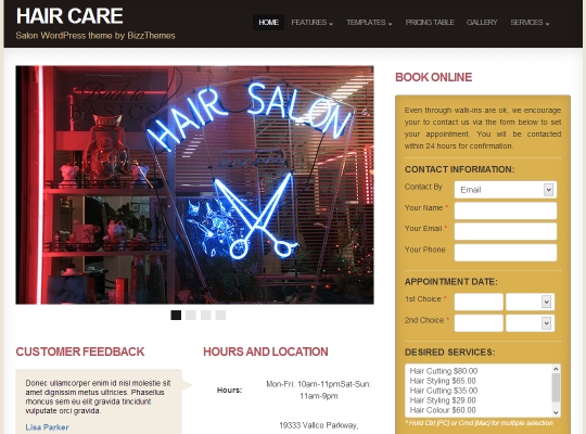 best-premium-wordpress-business-themes-haircare