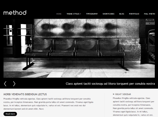 best-premium-wordpress-business-themes-method