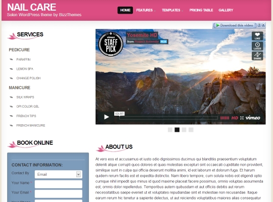 best-premium-wordpress-business-themes-nailcare