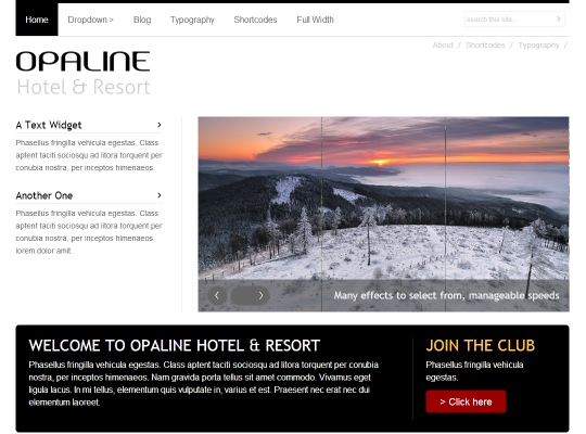 best-premium-wordpress-business-themes-opaline