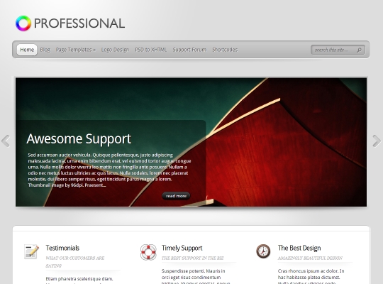 best-premium-wordpress-business-themes-theprofessional