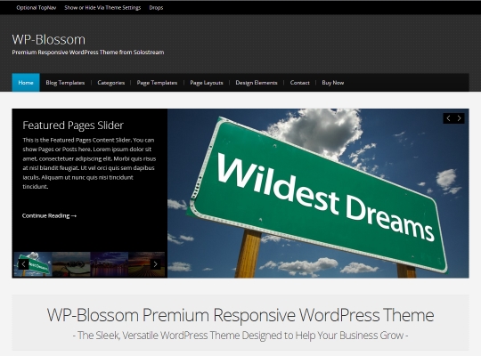 best-premium-wordpress-business-themes-wp-blossom
