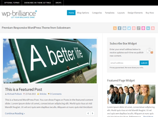 best-premium-wordpress-business-themes-wp-brilliance