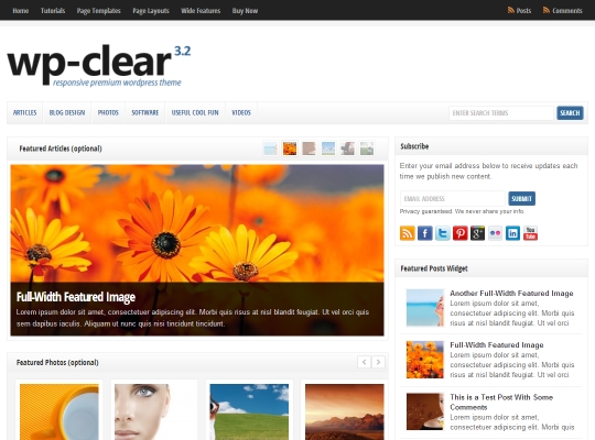 best-premium-wordpress-business-themes-wp-clear