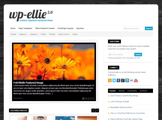 best-premium-wordpress-business-themes-wp-ellie