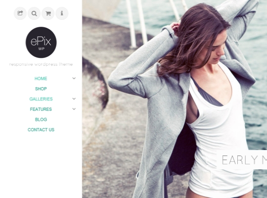 epix-responsive-multipurpose-wordpress-theme