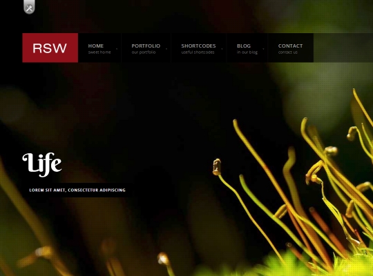 responsive-fullscreen-studio-for-wordpress