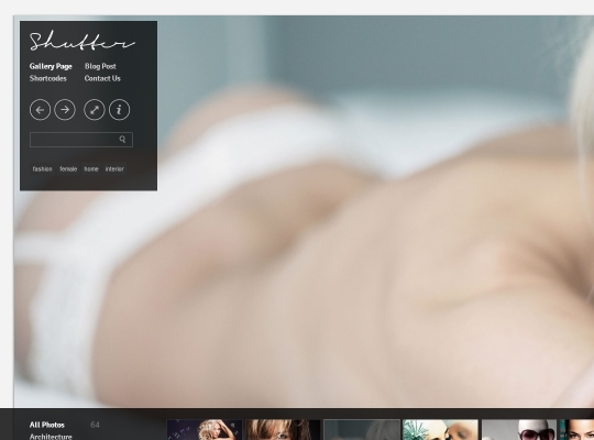 shutter-elegant-photography-wordpress-theme