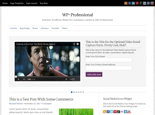 wp-professional