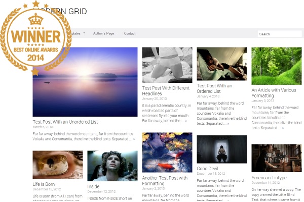 awarded-best-pinterest-like-themes-modern-grid