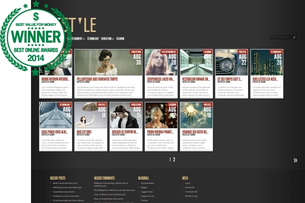 awarded-best-value-pinterest-like-themes-thestyle
