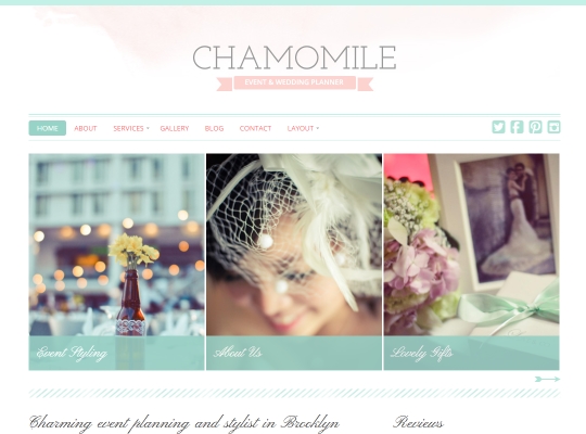 beautiful-feminine-wordpress-themes-for-women-chamomile