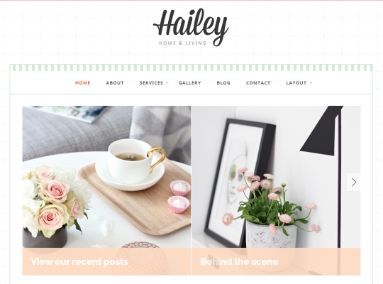 beautiful-feminine-wordpress-themes-for-women-hailey