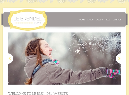 beautiful-feminine-wordpress-themes-for-women-le-breindel