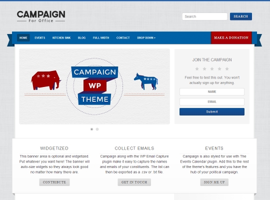 Screenshot of WordPress theme Campaign